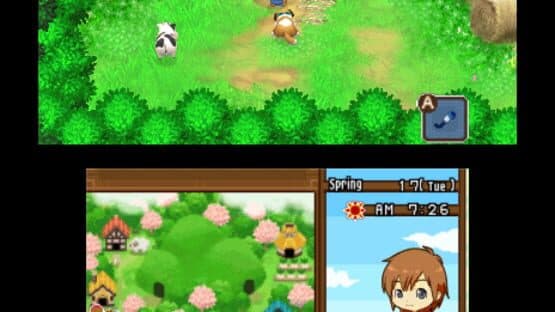 Harvest Moon: The Tale of Two Towns — screenshot 8