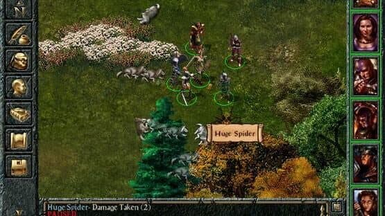 Baldur's Gate — screenshot 1