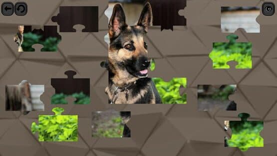 Puzzles for smart: Dogs — screenshot 4
