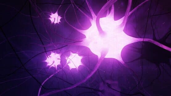 GE Neuro — screenshot 5