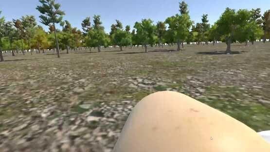Chicken VR — screenshot 6