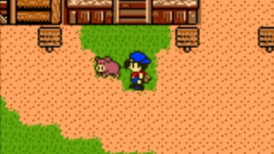 Harvest Moon 3 GBC — screenshot 3