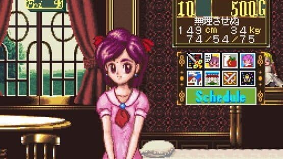 Princess Maker: Legend of Another World — screenshot 7