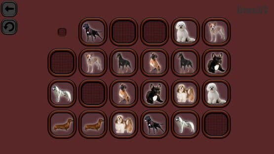 Animals Memory: Dogs — screenshot 5
