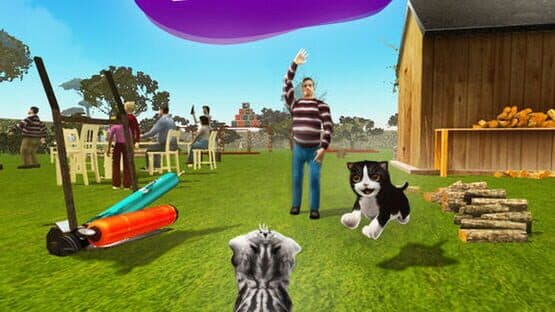 Cat Simulator 2015 — screenshot 2