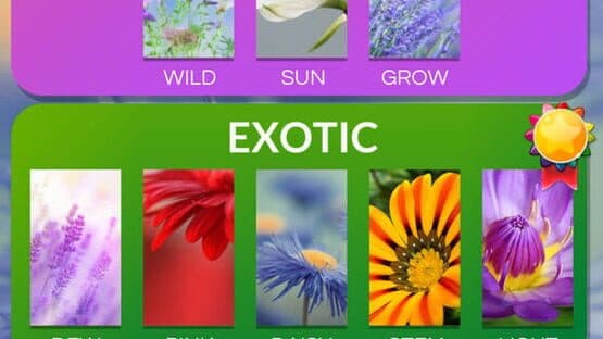 Word Flowers — screenshot 8