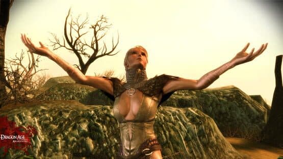 Dragon Age: Origins - Awakening — screenshot 2