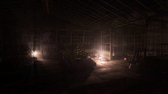 Rise of Insanity — screenshot 5