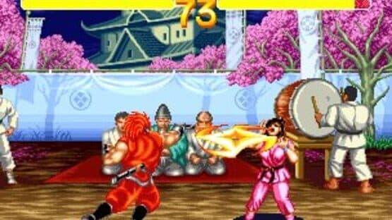 World Heroes 2 — screenshot 6