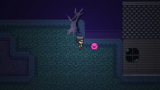 DashBored — screenshot 5