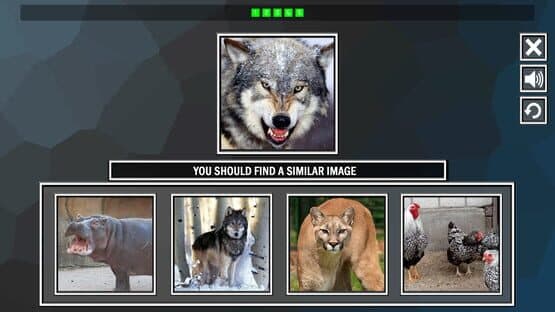 Repeat the image: Animals — screenshot 2