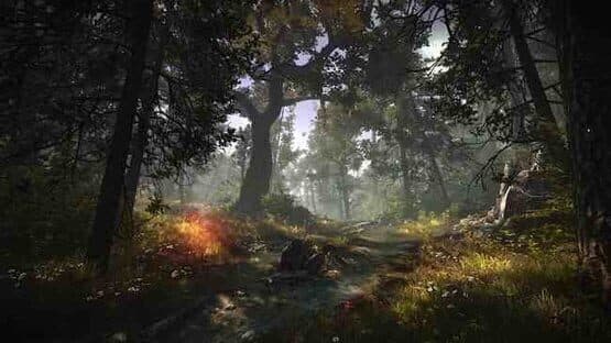 The Witcher 2: Assassins of Kings - Enhanced Edition — screenshot 1