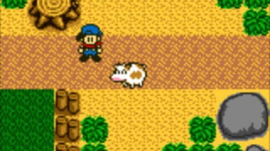 Harvest Moon GB — screenshot 2