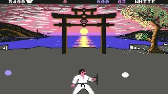 International Karate + — screenshot 4