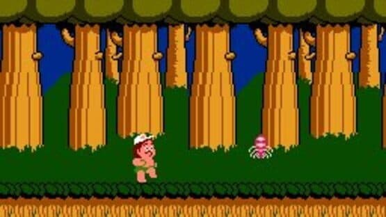 Hudson's Adventure Island — screenshot 3