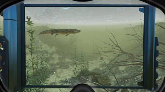World of Diving — screenshot 2