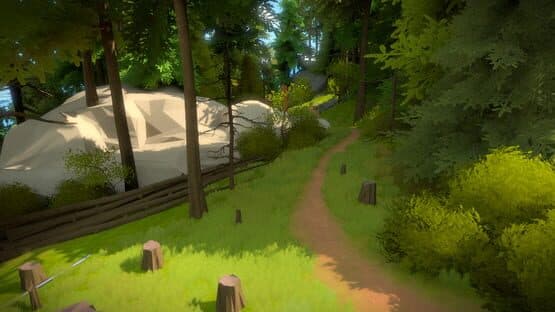 The Witness — screenshot 3