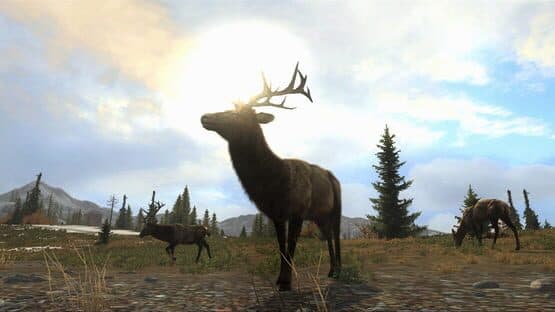 Cabela's Big Game Hunter: Pro Hunts — screenshot 1