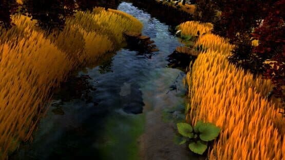 Fallen Mage — screenshot 3