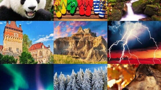 Jigsaw Puzzle Pro — screenshot 8