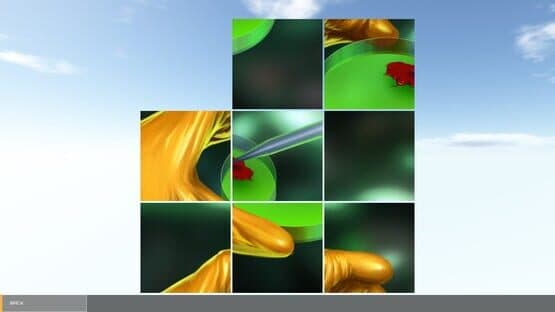 Dinosaur Hunt Puzzle — screenshot 1