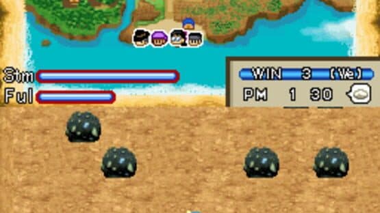Harvest Moon DS: Island of Happiness — screenshot 6