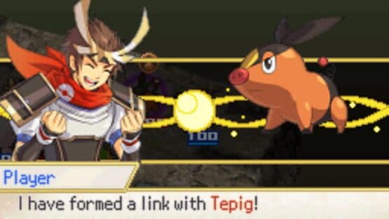 Pokémon Conquest — screenshot 4