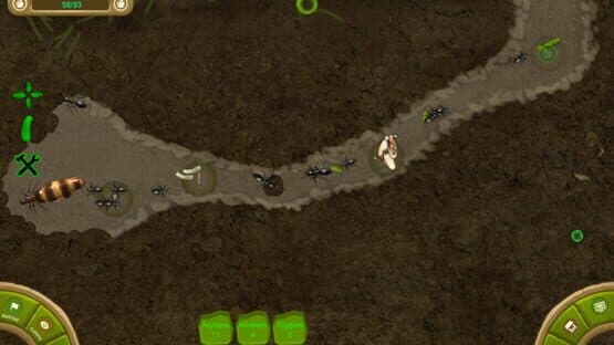 Ant Queen — screenshot 3