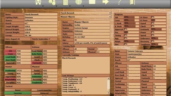 World Boxing Manager — screenshot 5