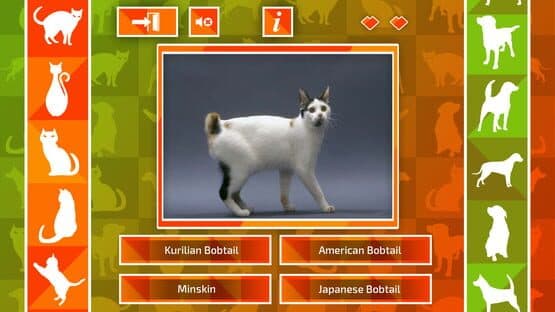 JQ: dogs & cats — screenshot 1