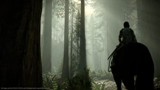 Shadow of the Colossus — screenshot 7