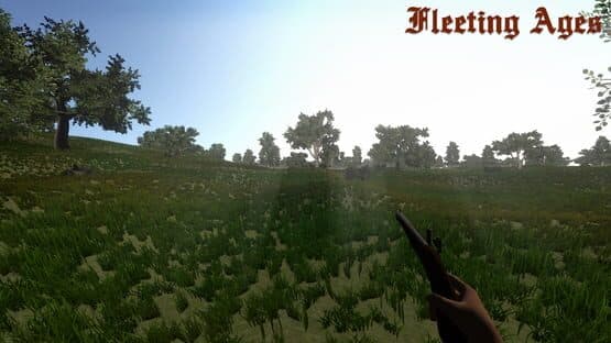 Fleeting Ages — screenshot 1