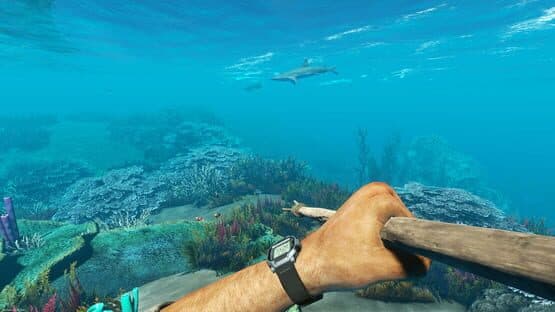 Stranded Deep — screenshot 8