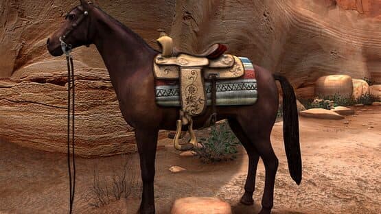 Nancy Drew: The Secret of Shadow Ranch — screenshot 3