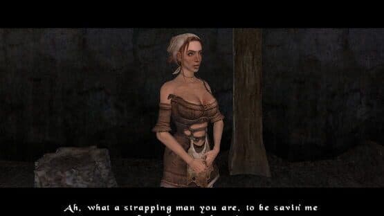 The Bard's Tale — screenshot 2