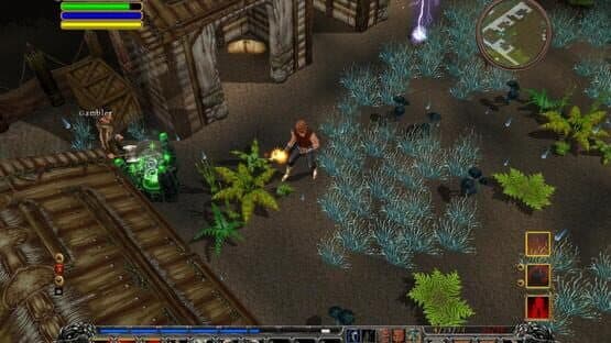 Din's Curse — screenshot 3