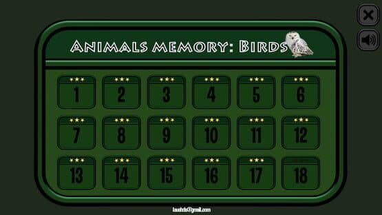 Animals Memory: Birds — screenshot 5