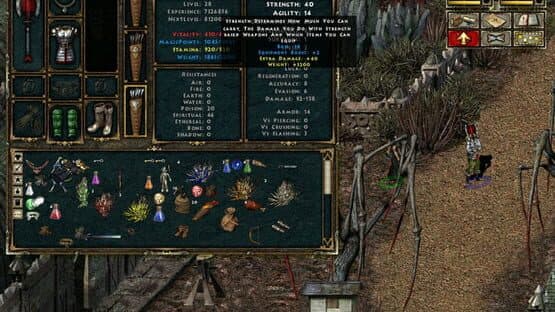 Beyond Divinity — screenshot 1