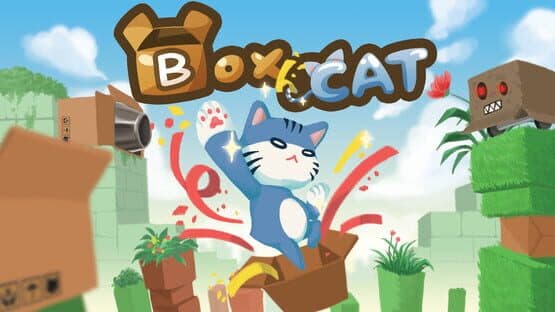 Box Cat — screenshot 1