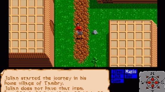 The Faery Tale Adventure — screenshot 1