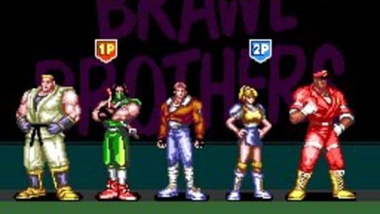Brawl Brothers — screenshot 8