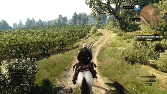 The Witcher 3: Wild Hunt - Hearts of Stone — screenshot 1