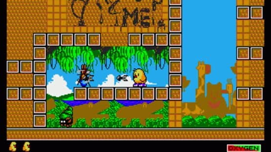 The NewZealand Story — screenshot 1