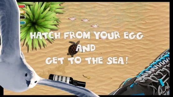 Turtle Quest — screenshot 2