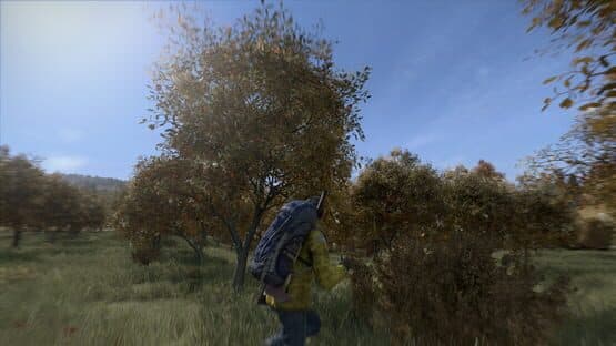 DayZ — screenshot 3
