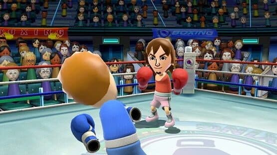 Wii Sports Club: Baseball + Boxing — screenshot 3