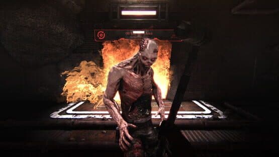 Cargo 3 — screenshot 1