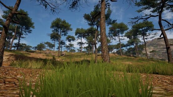 Grass Life Sim 2 — screenshot 2