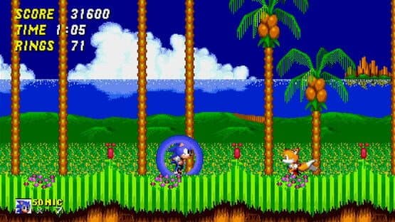 Sonic 2: Community's Cut — screenshot 3