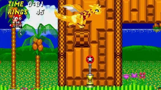 Amy & Trip in Sonic the Hedgehog 2 — screenshot 1